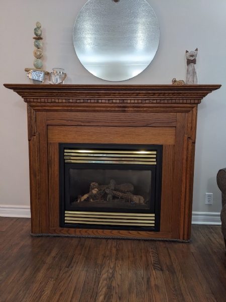 Napoleon Gas Insert with Mantle