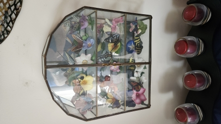 Beautiful Glass case WButterfly co