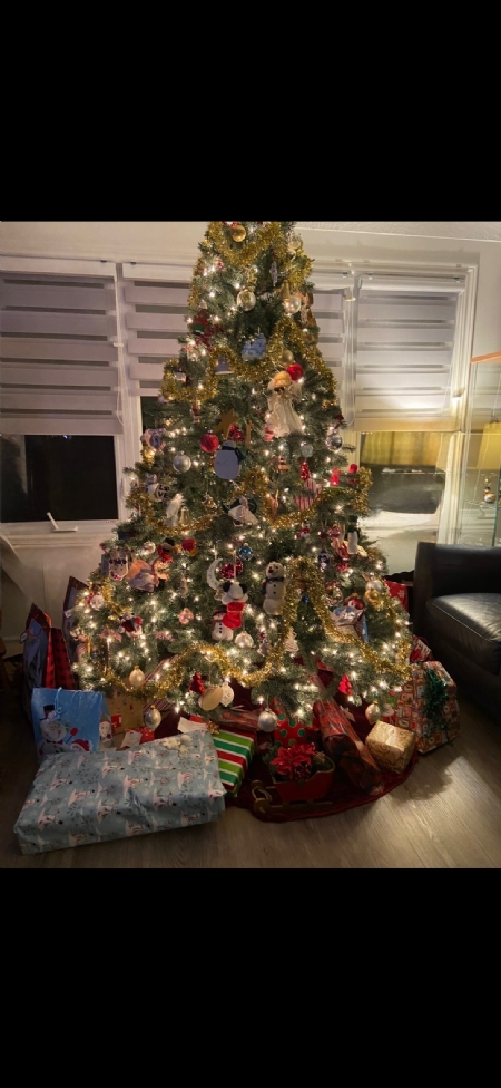 Beautiful Christmas tree