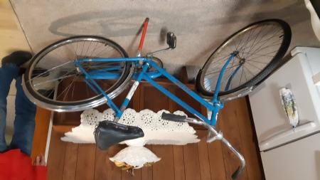 LADIES BICYCLE