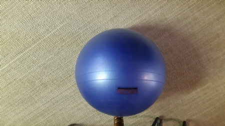 EXERCISE BALL