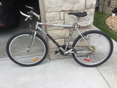 Mans Raleigh bike