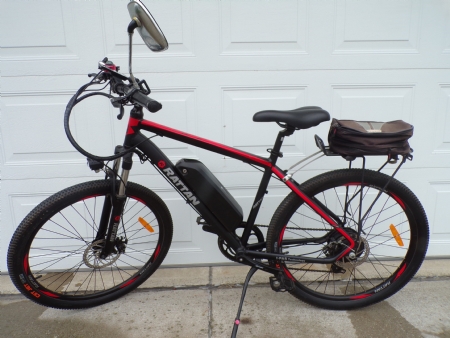 Rattan E-Bike