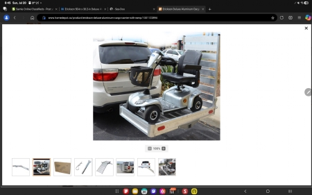 Cargo carrier 50 x 30 in with ramp