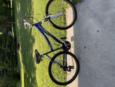 Ladies Schwinn Mountain Bike