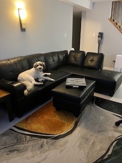 Sectional Couch