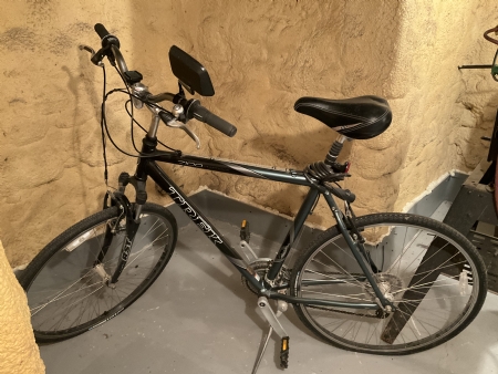 Ladies Trex Bicycle