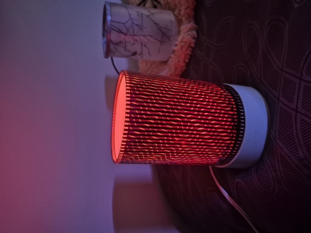 LG Scentsy warmers