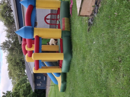 Large Well Made bouncy castle