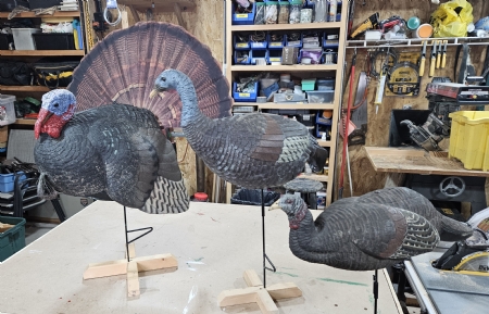 Turkey Decoys