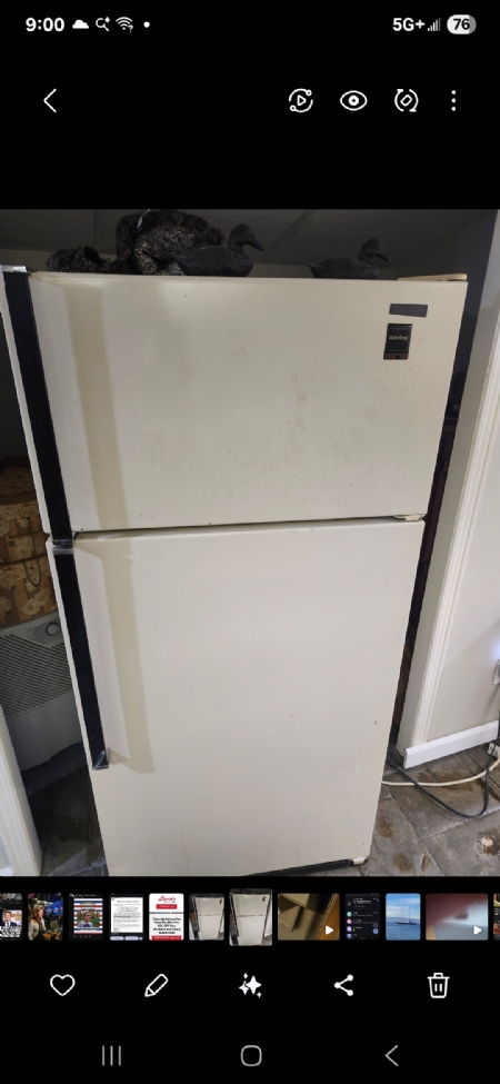 Small fridge